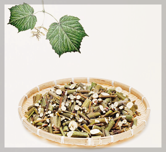 벌나무 효능&#44; 부작용&#44; 끓이는 법 3분 총정리