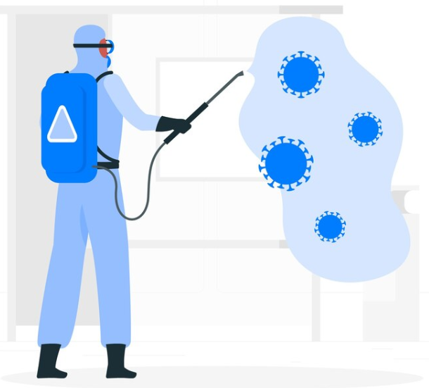 곰팡이 제거 전문업체 활용
