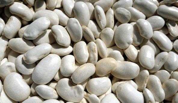 하얀색의 타원형 강낭콩들이 수북하게 쌓여있다.