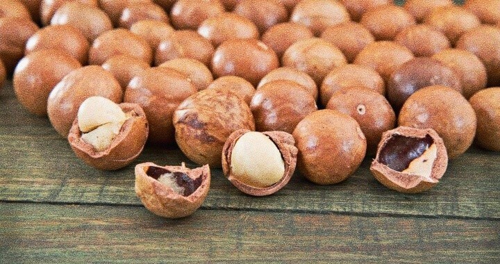 마카다미아의 효능 6가지와 칼로리 및 부작용