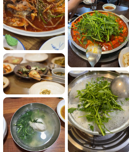방송 맛집