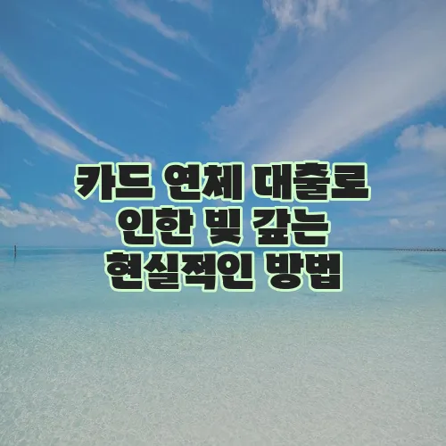 카드 연체 대출로 인한 빚 갚는 현실적인 방법