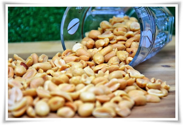 &quot;9월, 땅콩 수확 시작하세요!&quot; 수확 시기/수확/건조/활용법/건강 상 이점