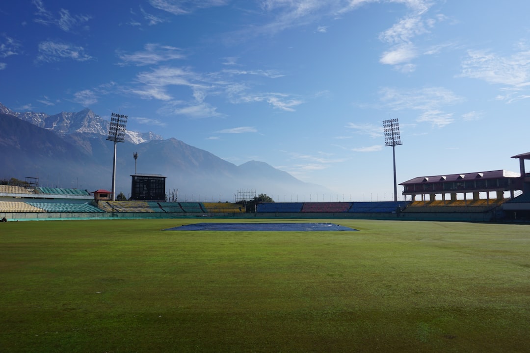 Cricket