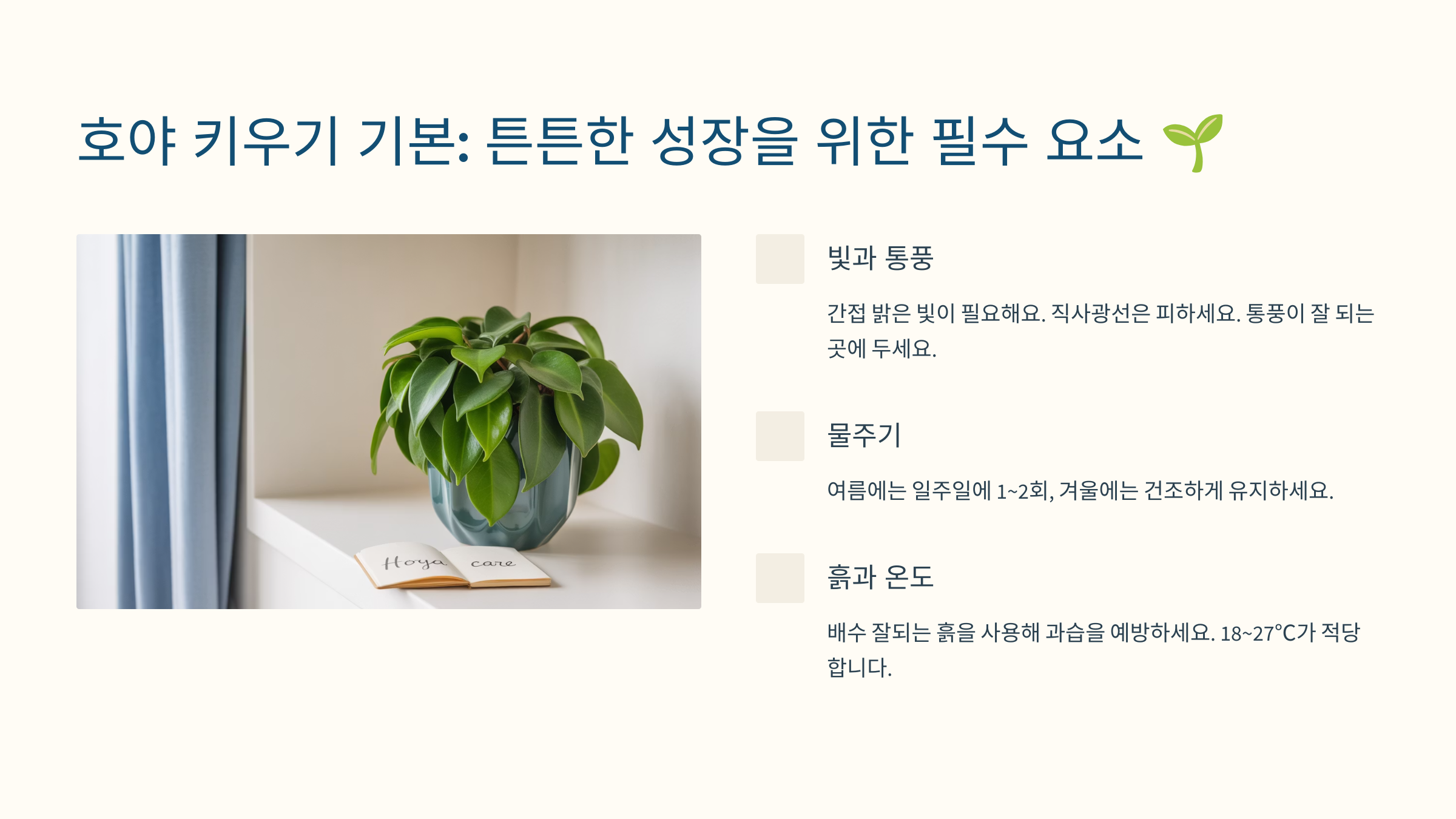 호야 키우기 기본: 튼튼한 성장을 위한 필수 요소 🌱