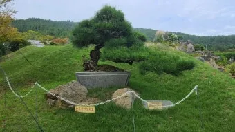 압해도 분재공원 근처 선착장에서의 낚시 농어와 도다리 포인트 소개 완벽 낚시터_17