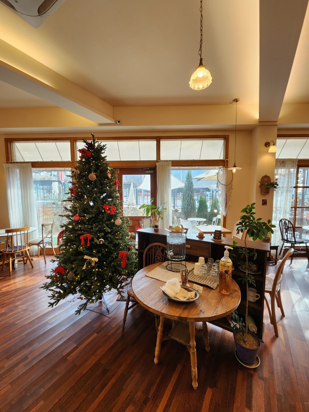 연말이라 예쁘게 꾸며진 트리