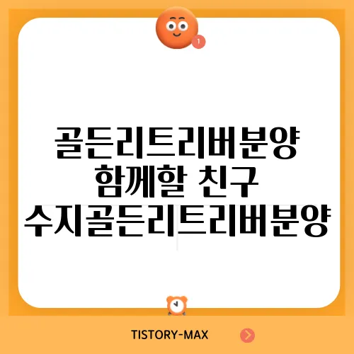 골든리트리버분양 함께할 친구 수지골든리트리버분양