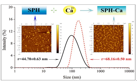 해조칼슘의 특징