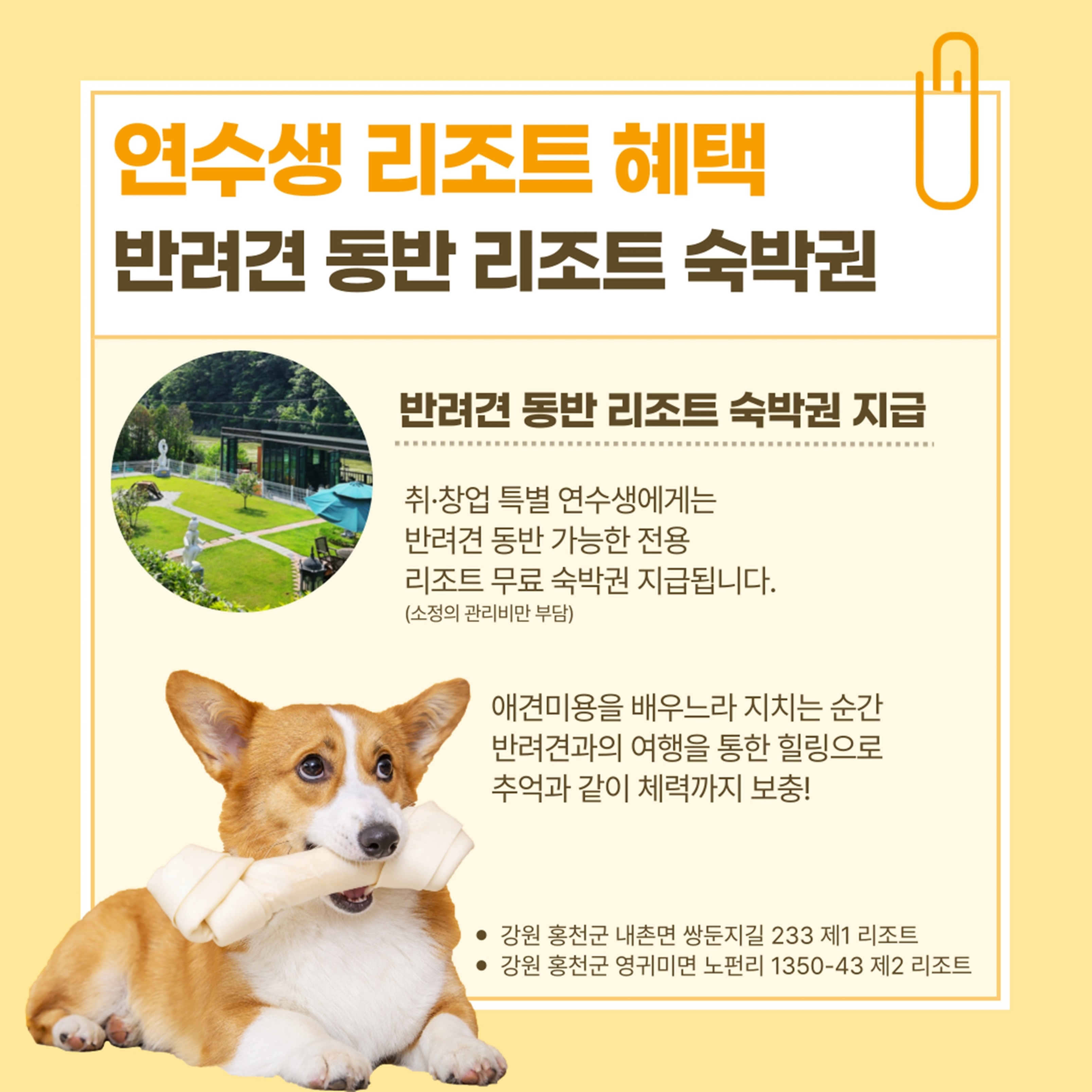 명품 애견미용학원 이바우펫