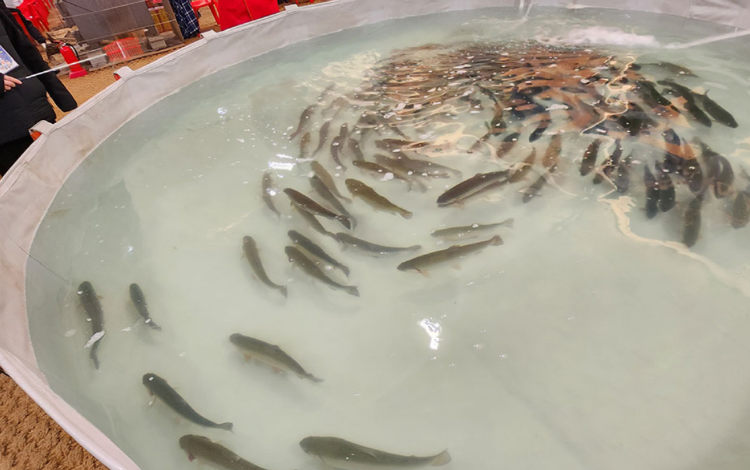 포천 백운계곡 동장군축제