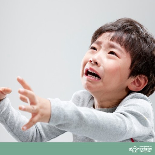 분리불안장애 환자