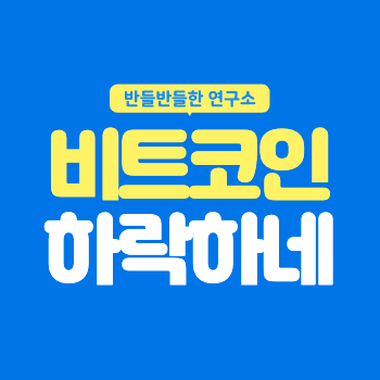 비트코인 하락에 대하여