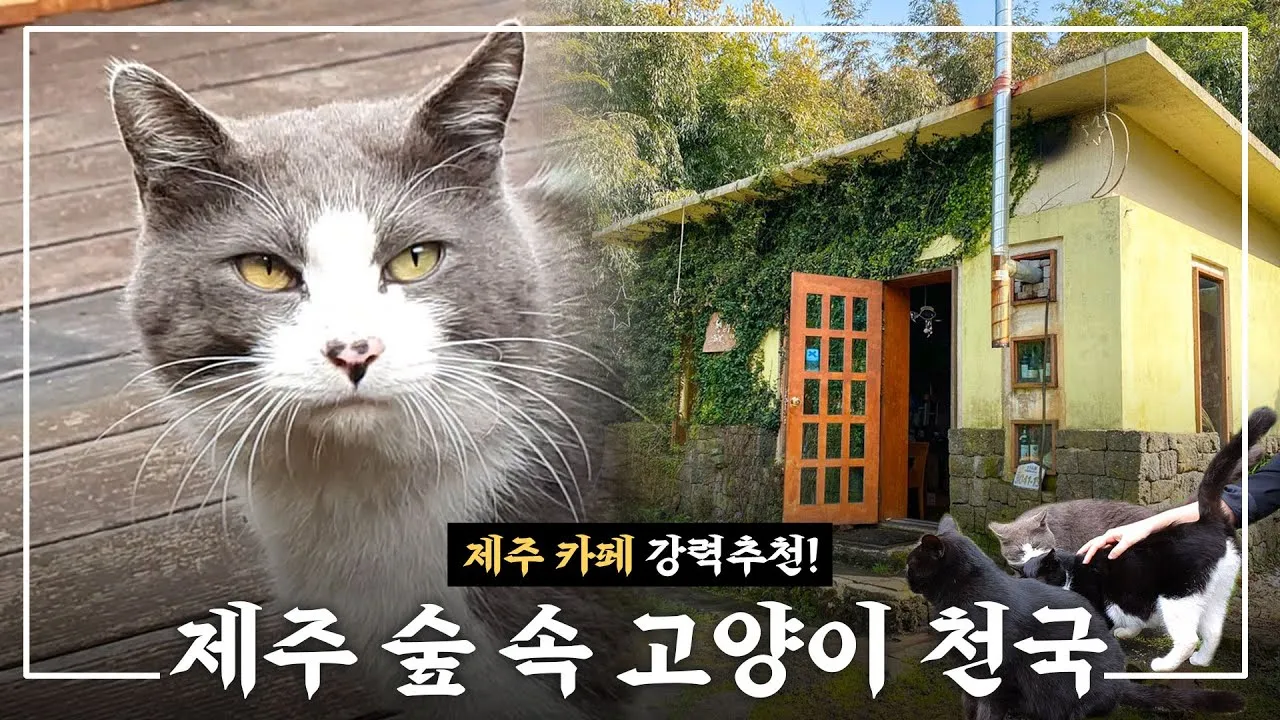 제주 카페 추천 오션뷰 감성카페 BEST 5_3