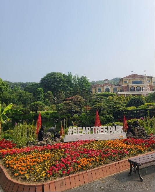 24년 11월 전국 가을축제