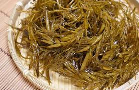 후코이단 효능 7가지 및 부작용