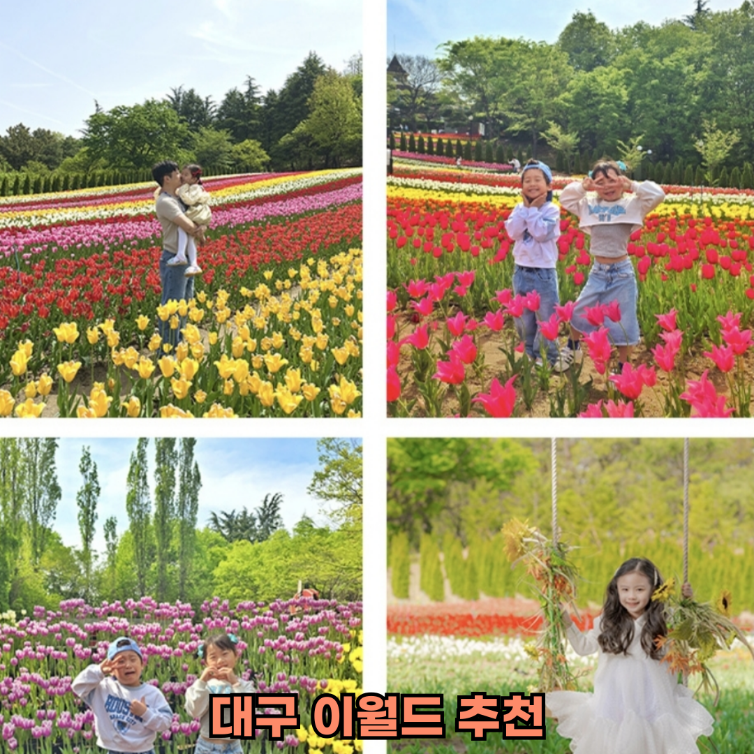 대구 이월드 추천