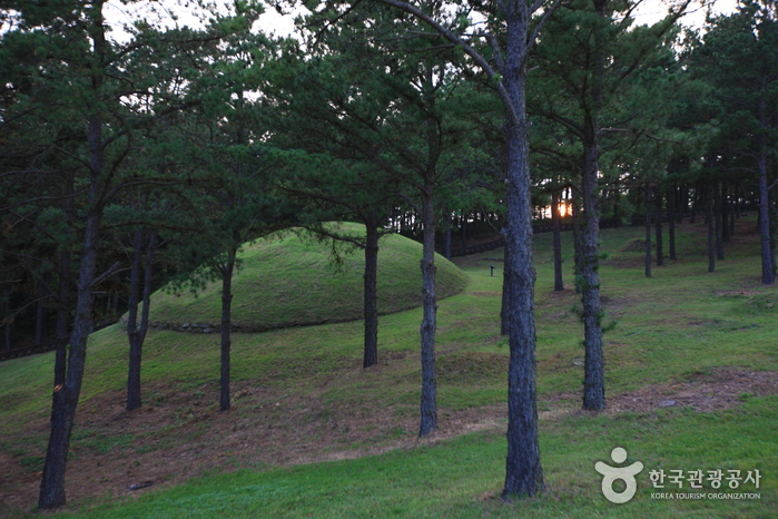 합천 가볼만한곳 베스트10