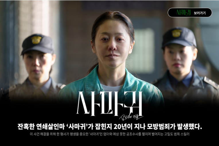 방영일정 및 편성 정보