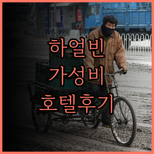 홈 인 플러스 호텔 하얼빈 센트럴 스