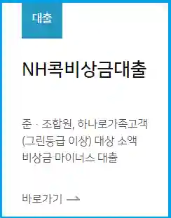 nh콕-비상금대출-신청하기