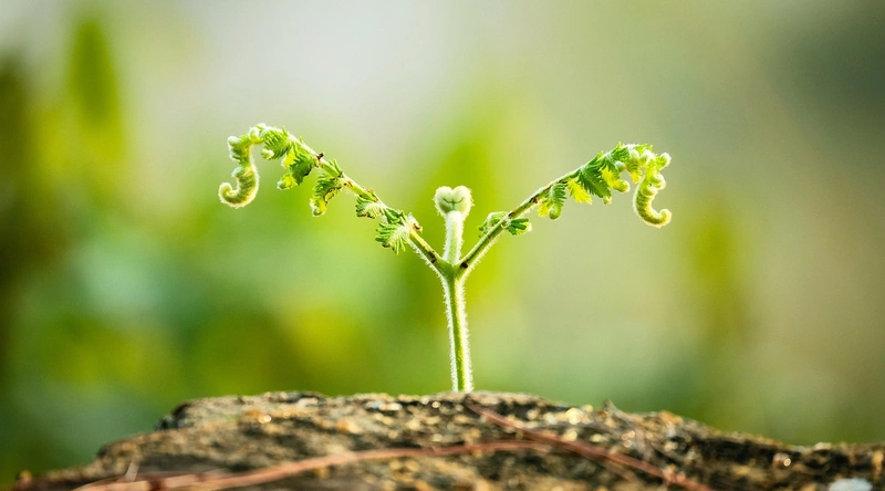 건설업계의 변화