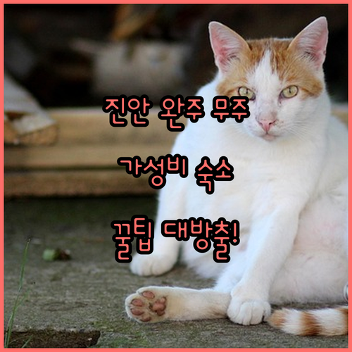 전북 진안 완주 무주 숙소 추천 TO..