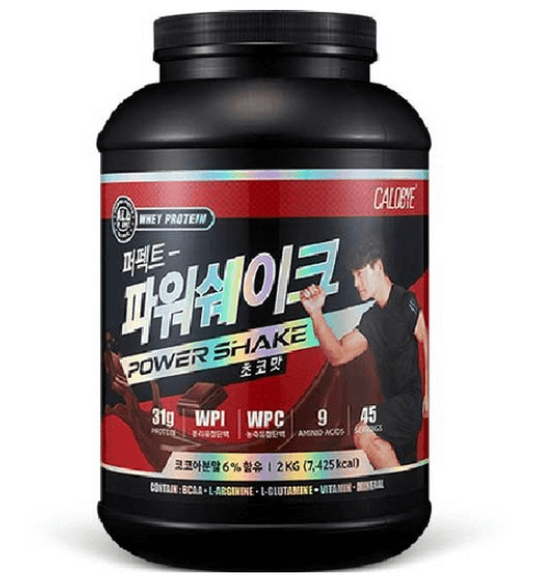 단백질 보충제 추천