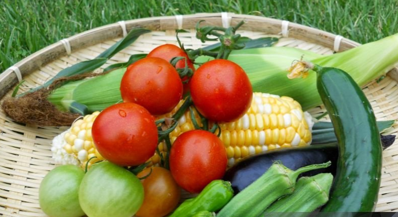 여름 과일 채소