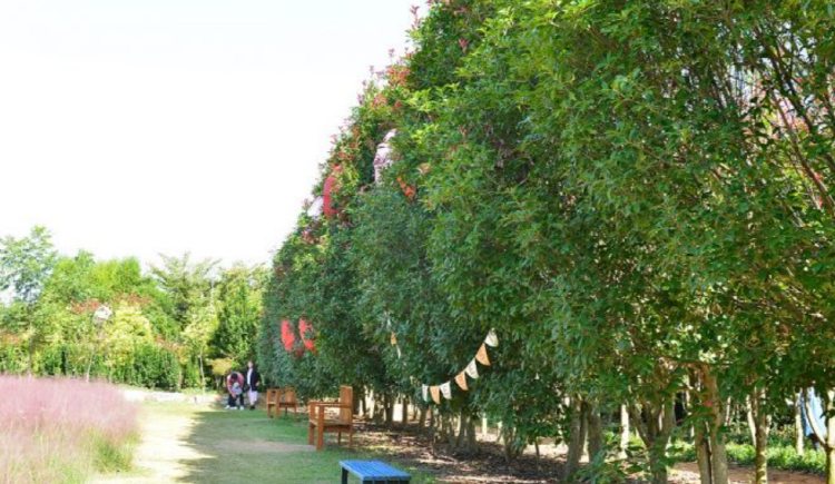 태안 청산수목원