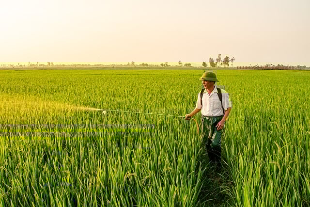 농림어업총조사 방문조사 관련사진