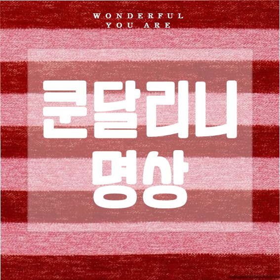 쿤달리니 명상 완벽 가이드: 에너지와 평온의 길