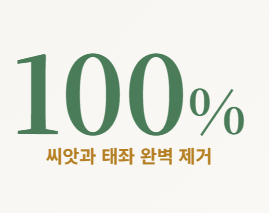 참외장아찌 담그는 법