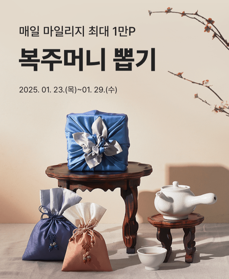 홈플러스 설날할인