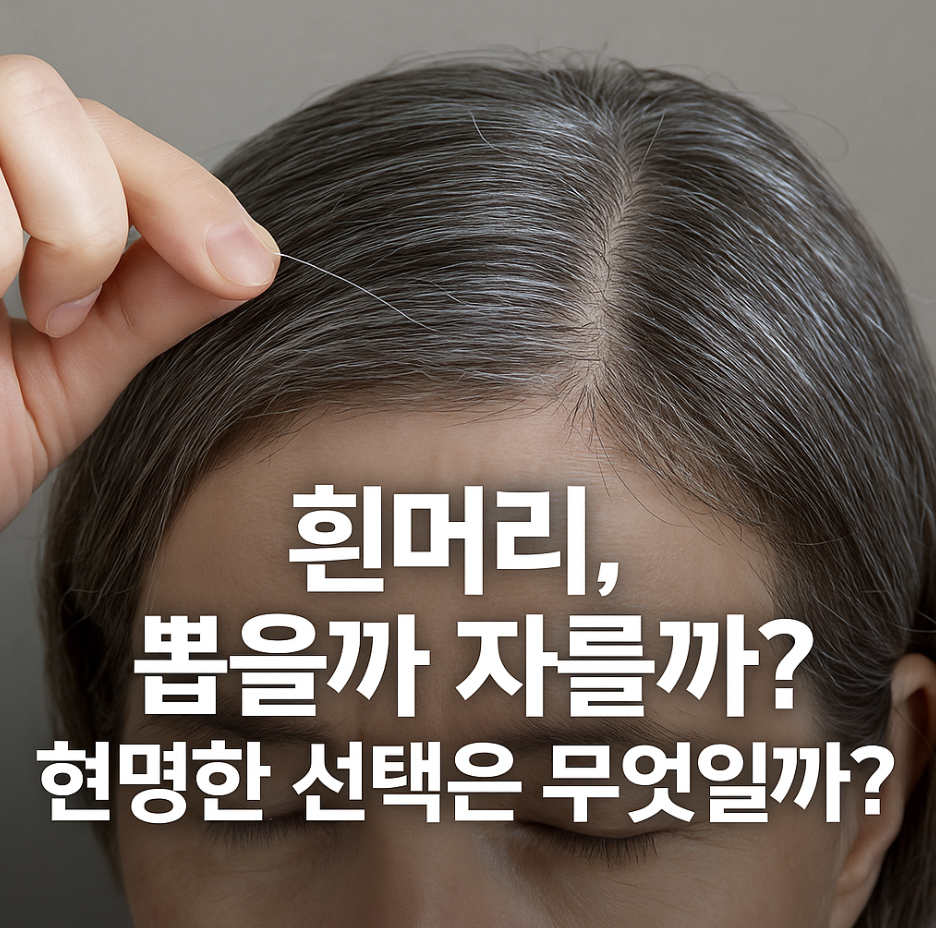 흰머리, 뽑을까 자를까? 현명한 선택은 무엇일까?