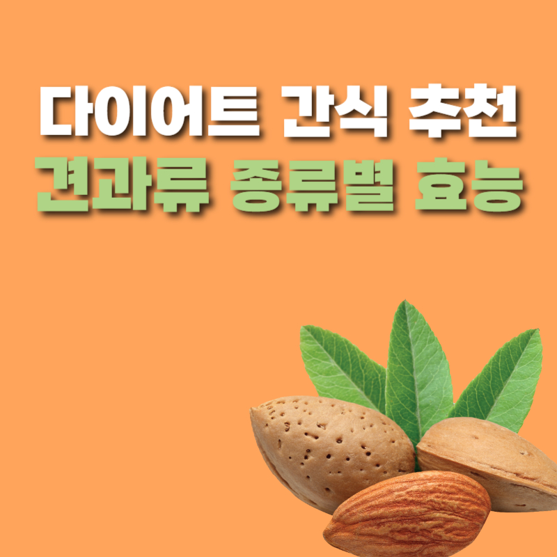 다이어트 간식 추천 : 견과류