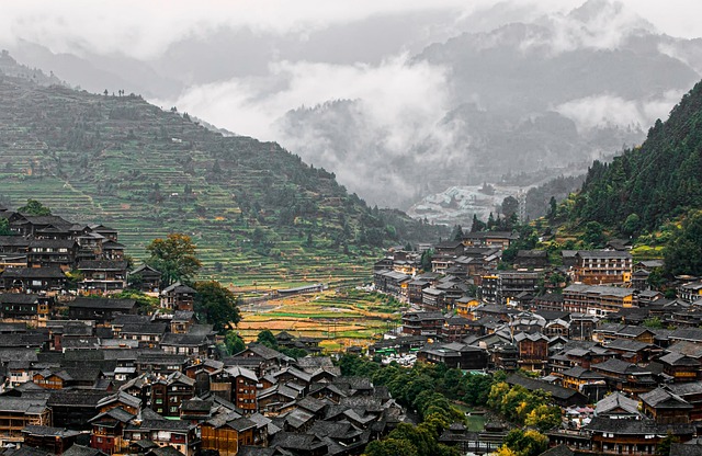 농지취득자격증명 요건