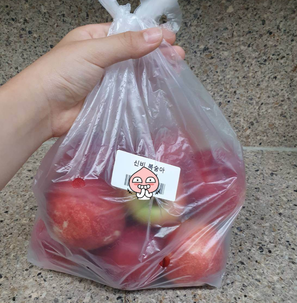 신비복숭아 사진