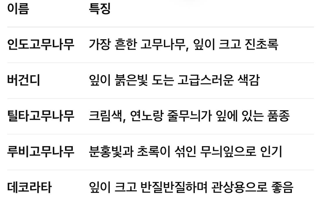 고무나무의 종류