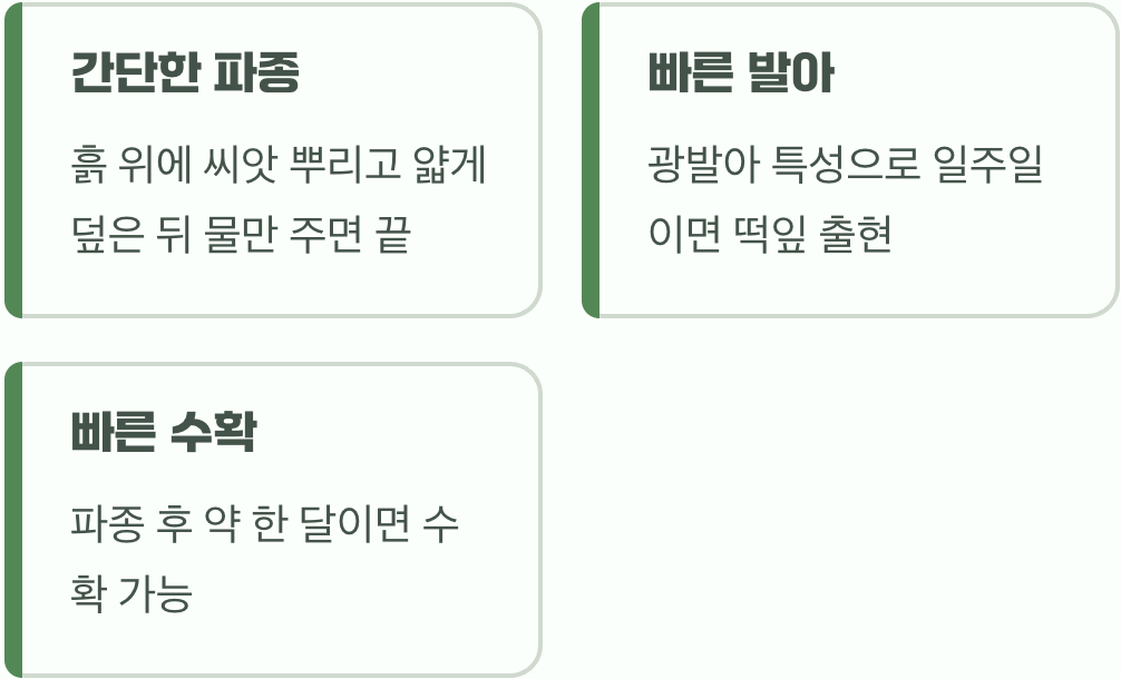 씨앗 뿌리기&amp;#44; 초보자도 문제없어요