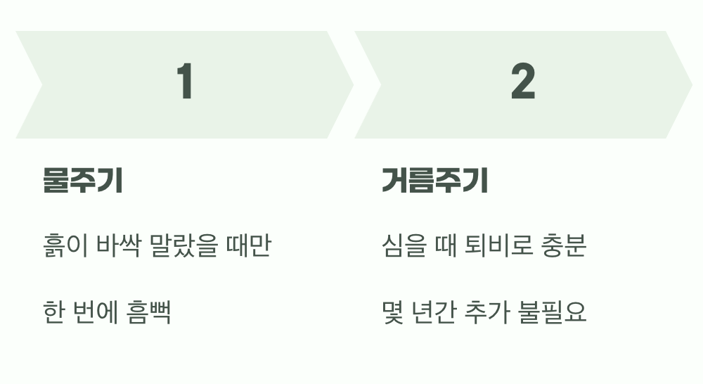 비결 3. 과한 사랑은 금물, '물'과 '거름'
