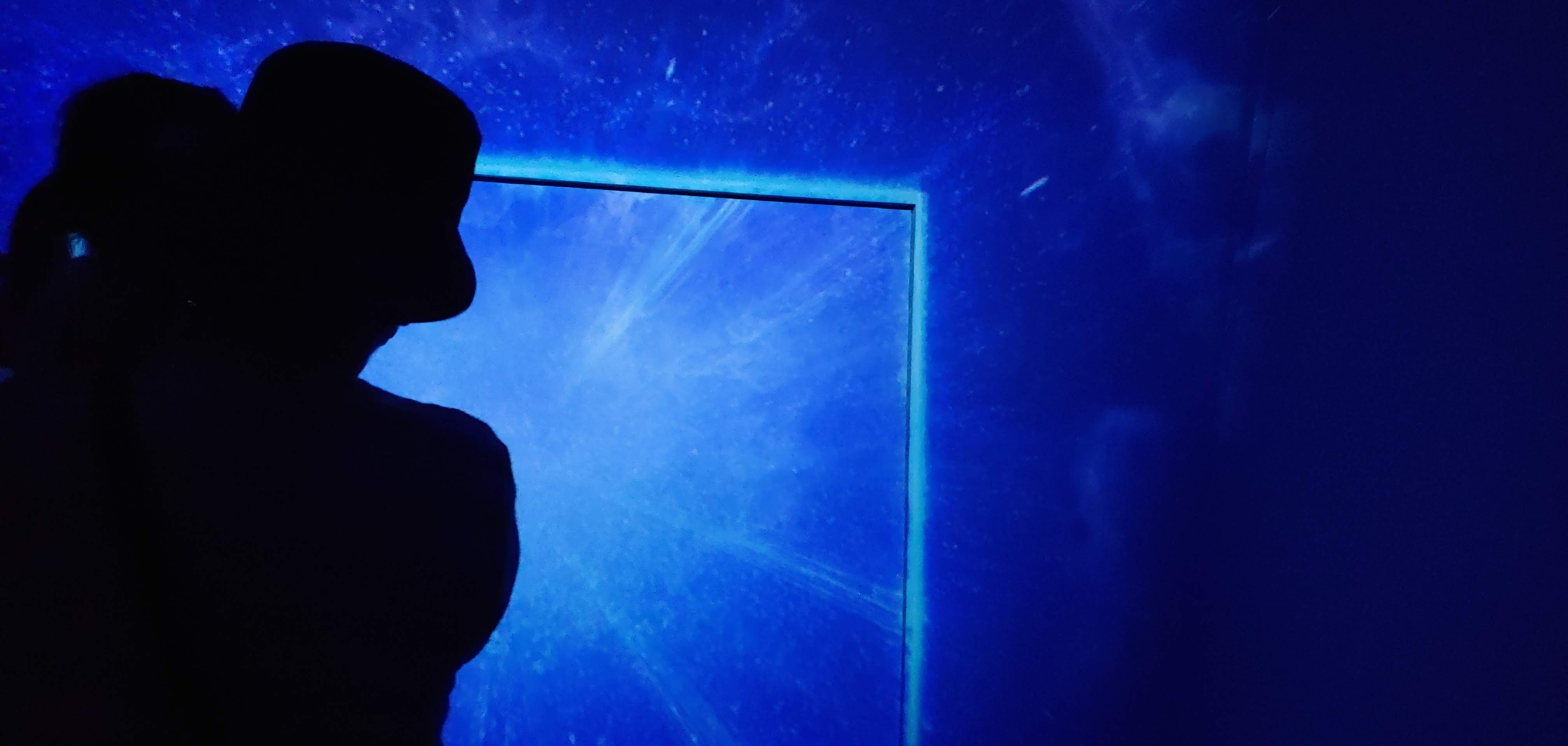 예술혼과의 만남을 위한 여정의 시작