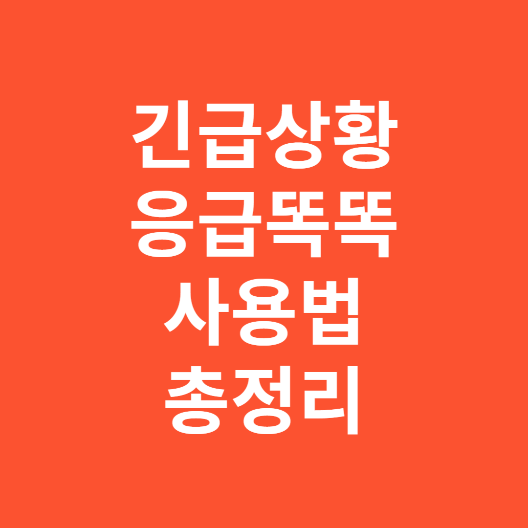 명절 주말밤 응급똑똑 다운로드 설치 사용법 총정리 지금 확인