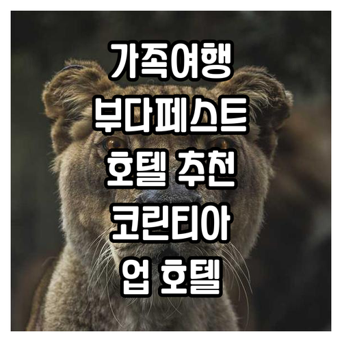 부다페스트 가족 여행 추천 호텔, 코..