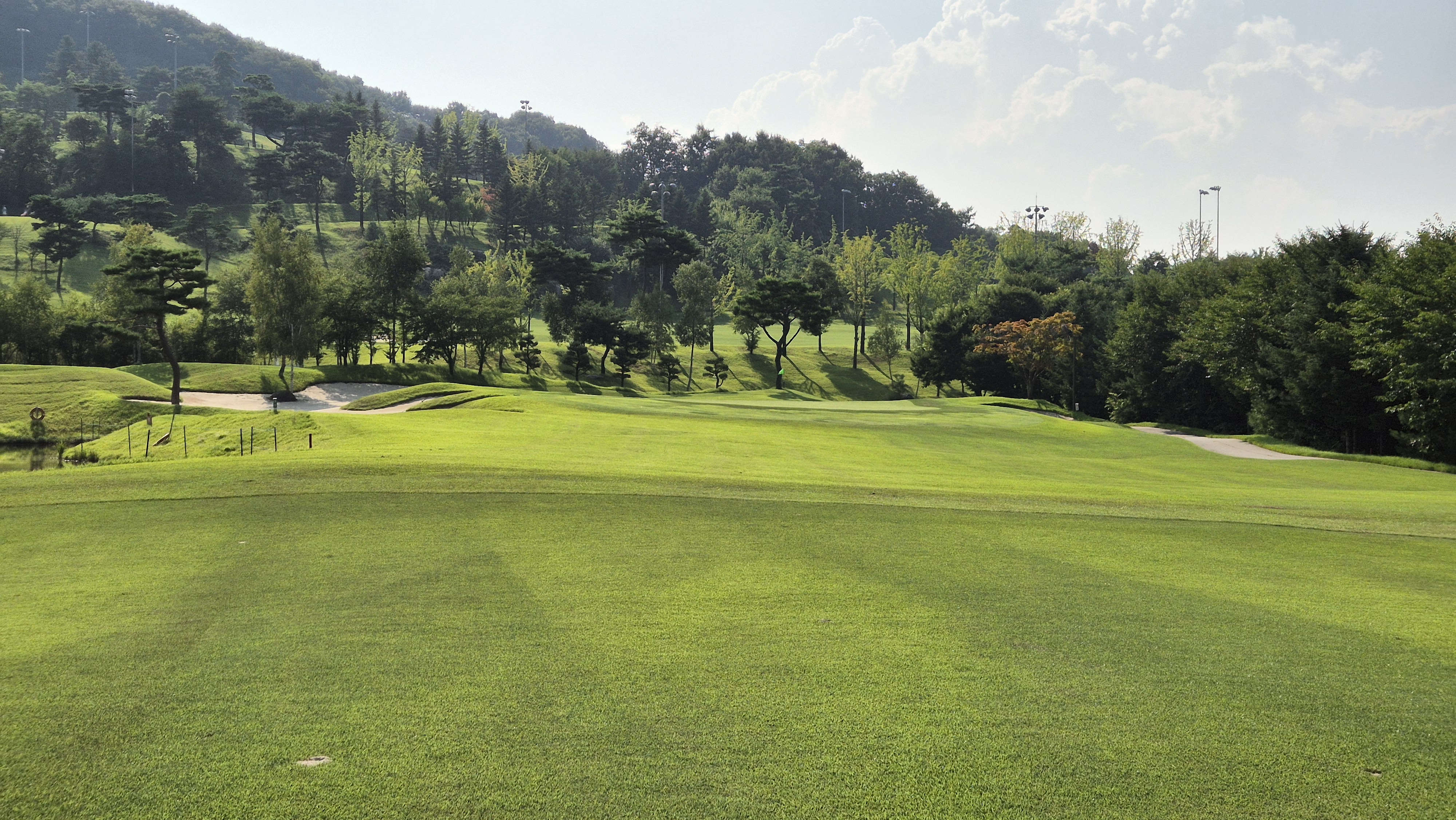 골프존카운티 안성H