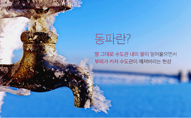 동파