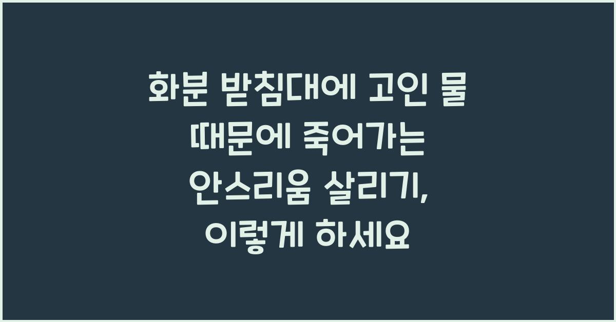 화분 받침대에 고인 물 때문에 죽어가는 안스리움 살리기