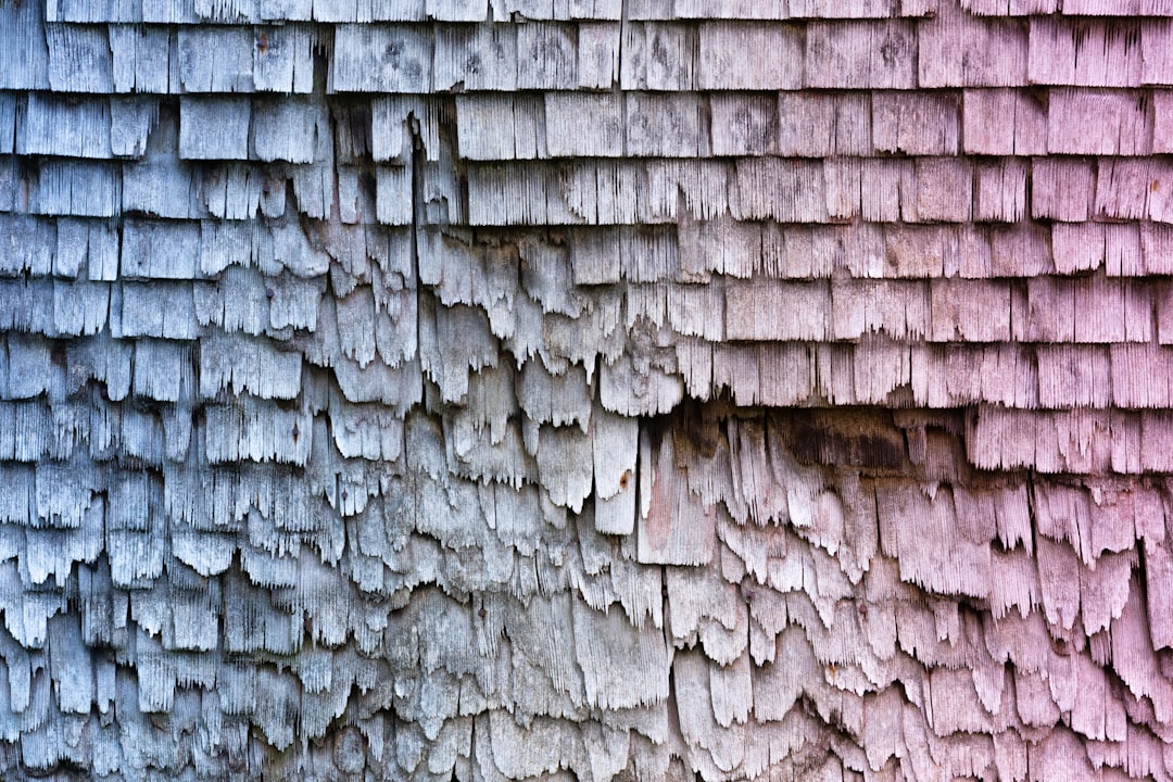 shingles