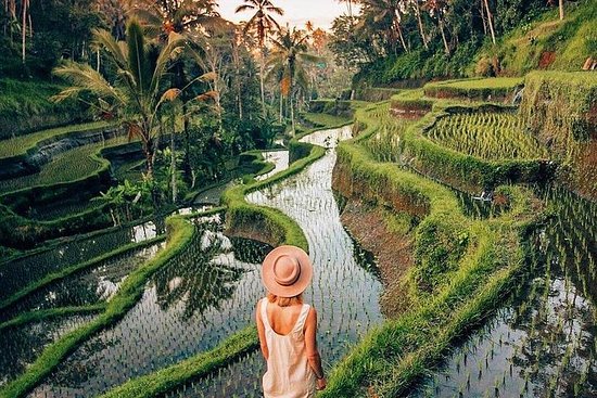 bali_tegalalang_rice_terrace