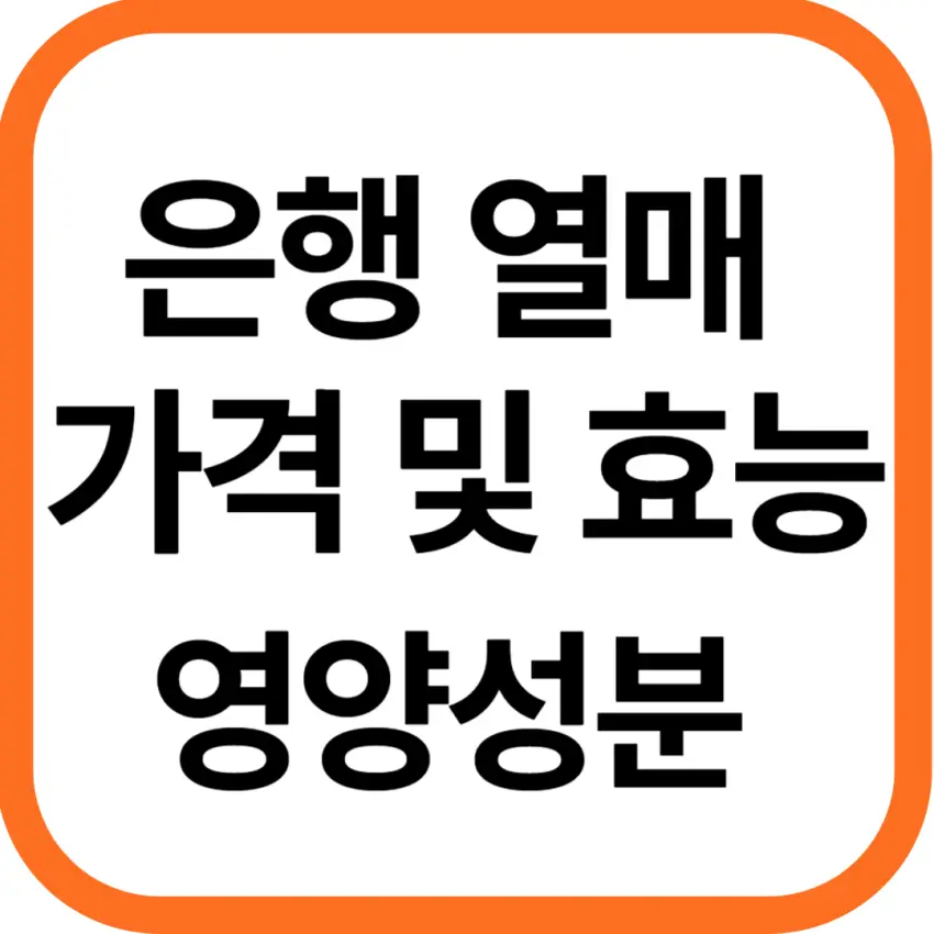 은행 열매 가격 및 효능&#44; 영양성분과 부작용